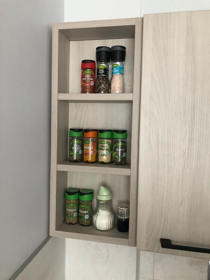 Apartmán Apartament Na Wierzbowej Parter Kędzierzyn-Koźle Exteriér fotografie